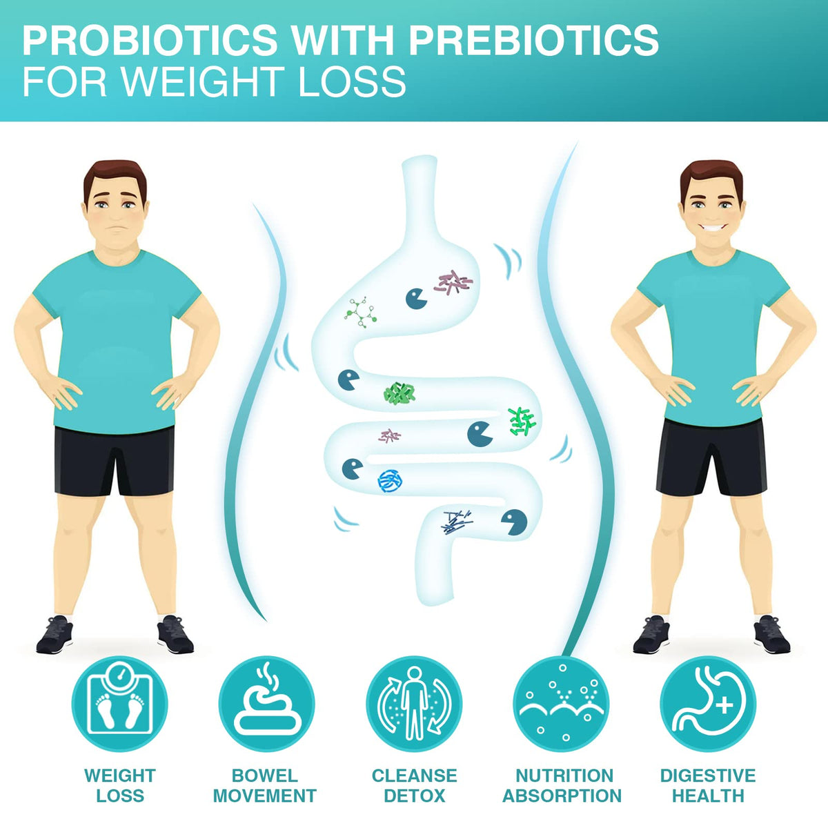 Probiotics with Glucosamine Chondroitin MSM Joint Support Supplement H6447
