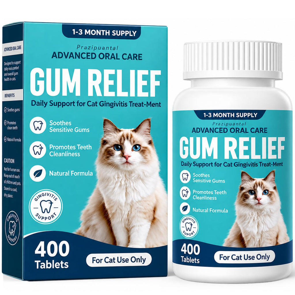 Cat Dental Care Oral Health Q91843