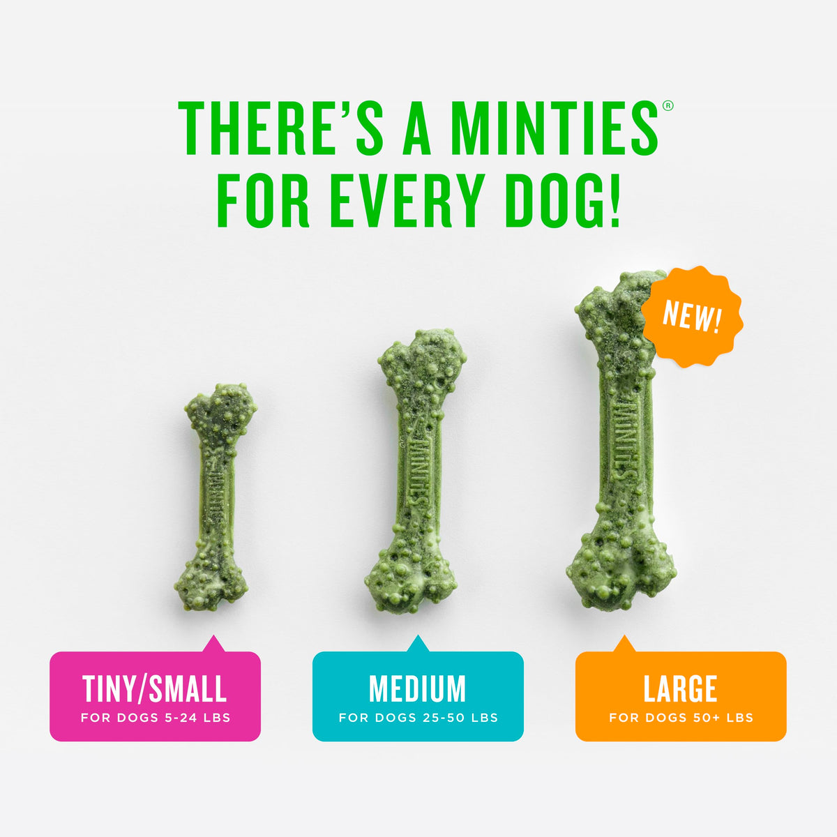 Mint Dental Chews for Dogs 36 Ct C370