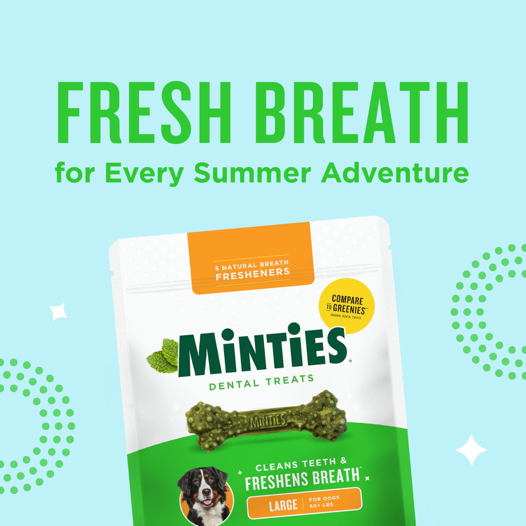 Mint Dental Chews for Dogs 36 Ct C370