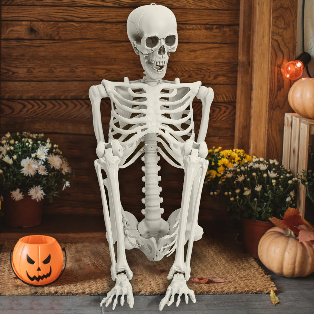 Life Size Poseable Skeleton with Movable Joints B23232