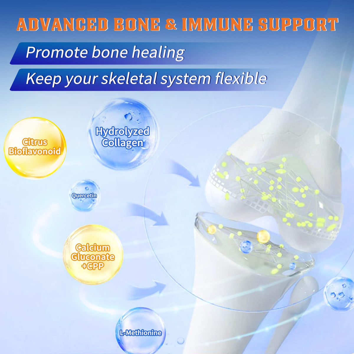 Probiotics with Glucosamine Chondroitin MSM Joint Support Supplement H6447