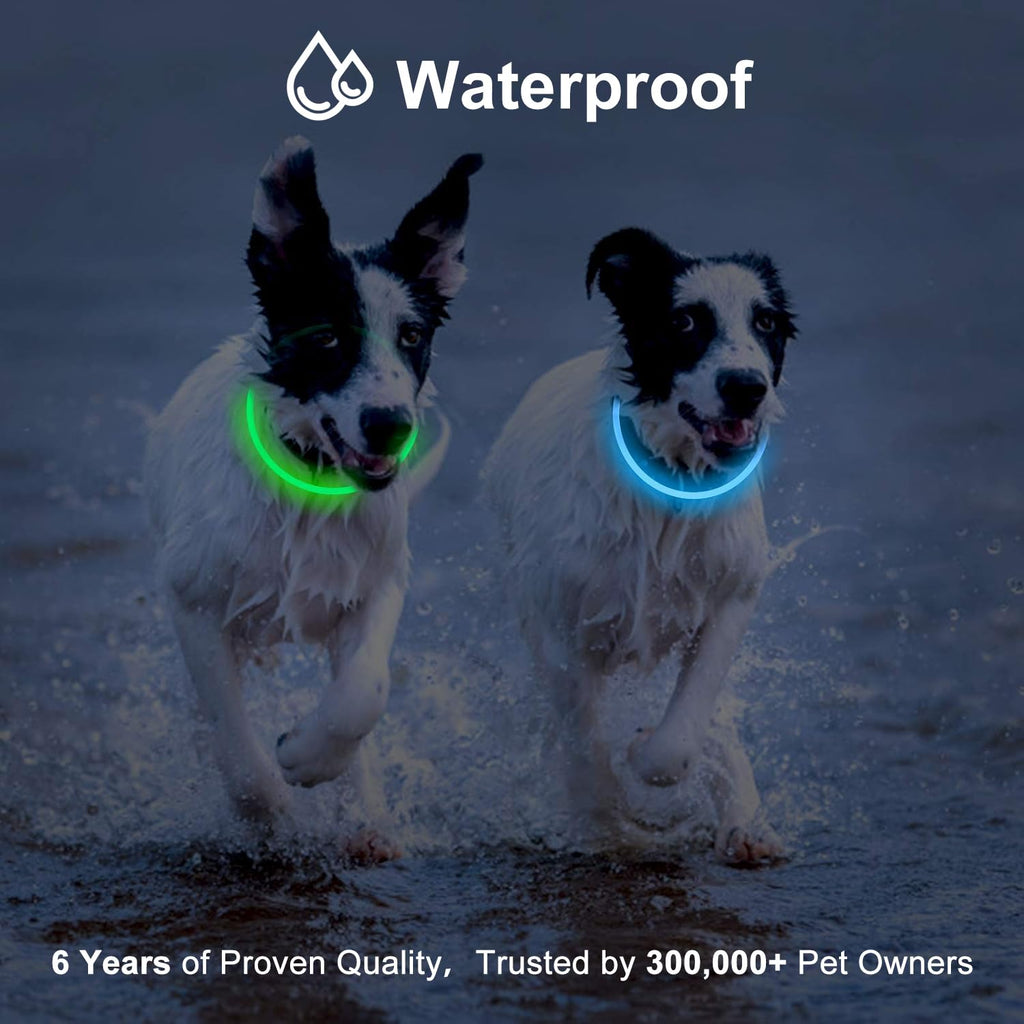 2-Pack Rechargeable LED Dog Collar K32629