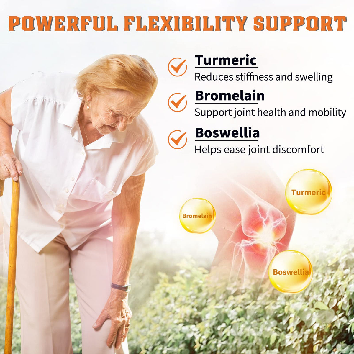 Probiotics with Glucosamine Chondroitin MSM Joint Support Supplement H6447