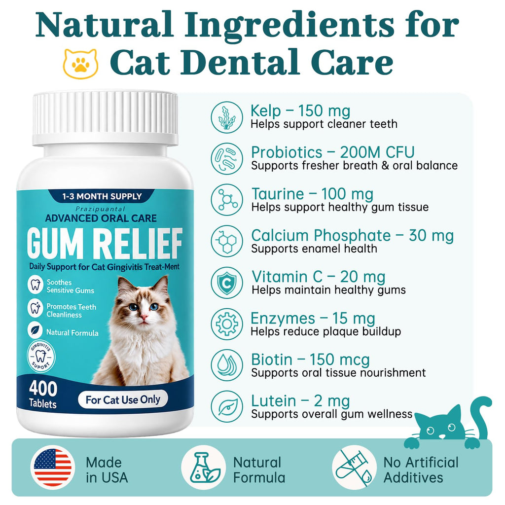 Cat Dental Care Oral Health Q91843