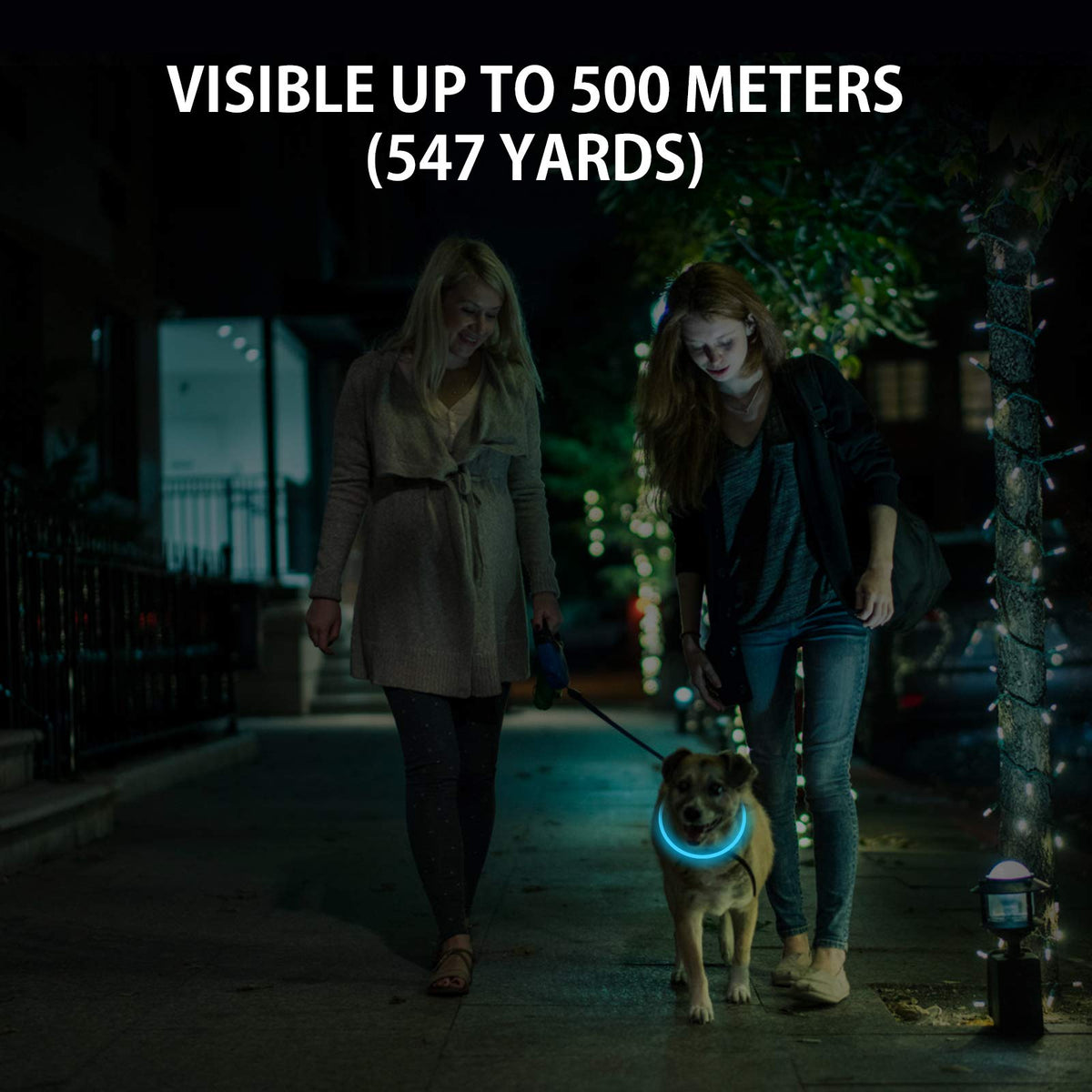 2-Pack Rechargeable LED Dog Collar K32629