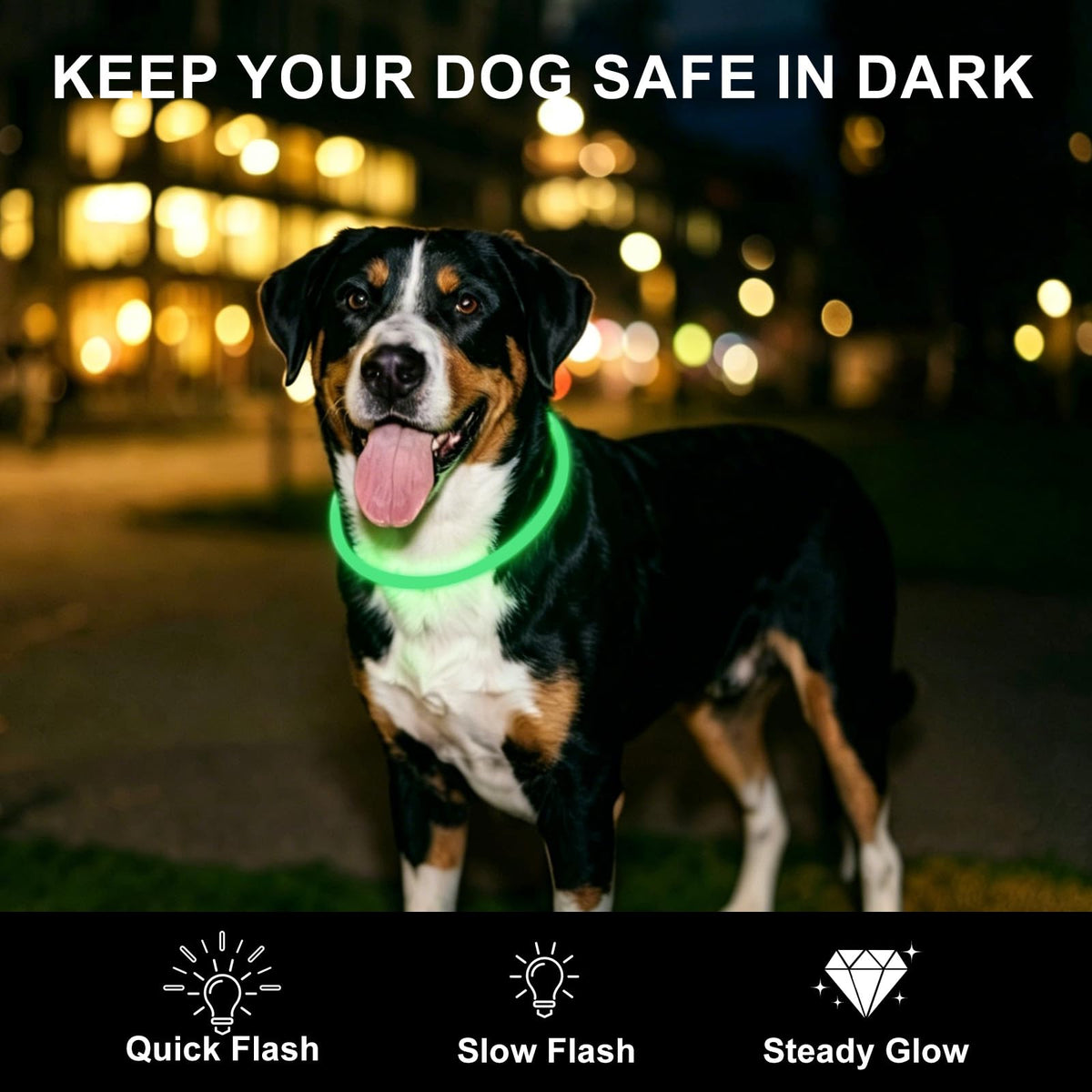 2-Pack Rechargeable LED Dog Collar K32629