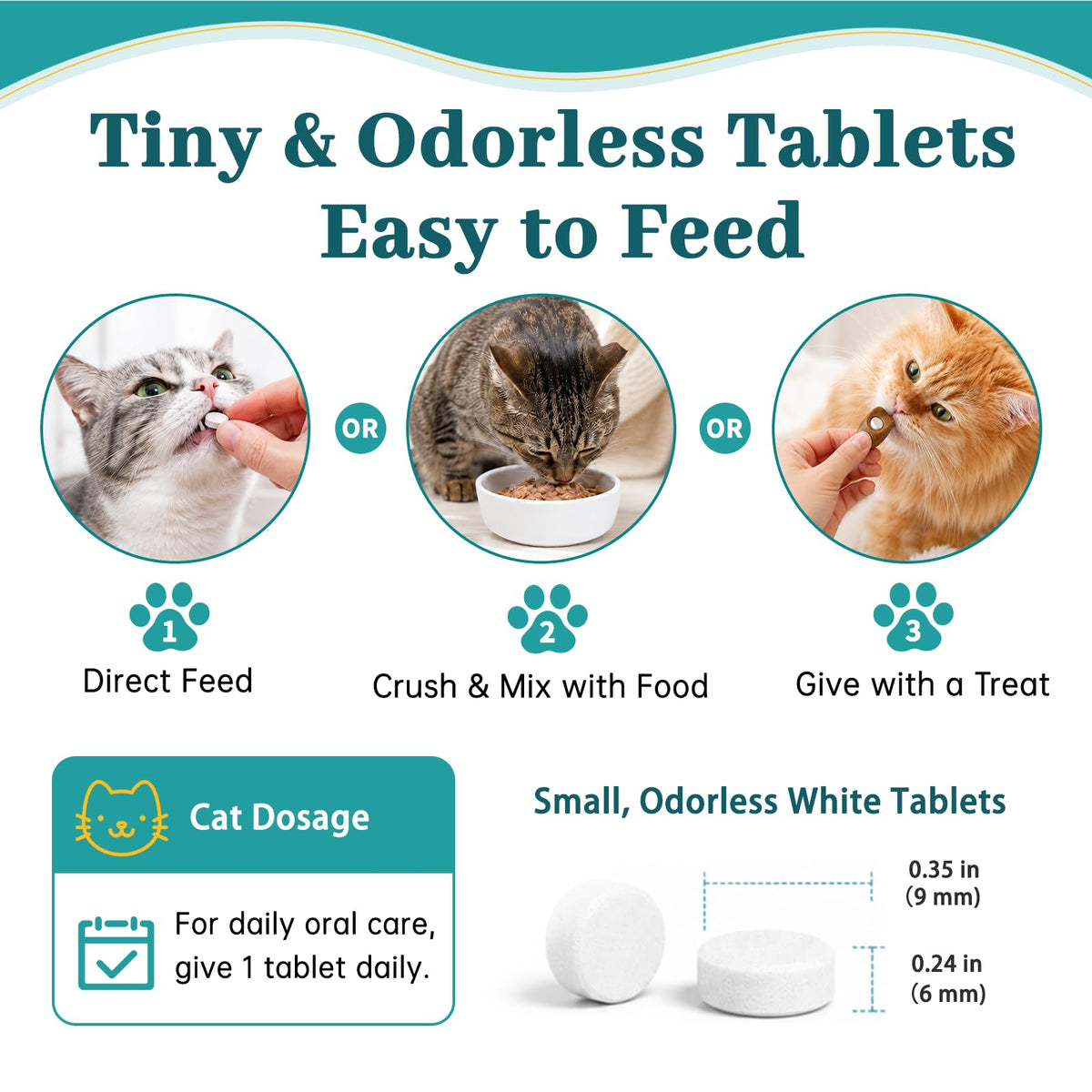 Cat Dental Care Oral Health Q91843