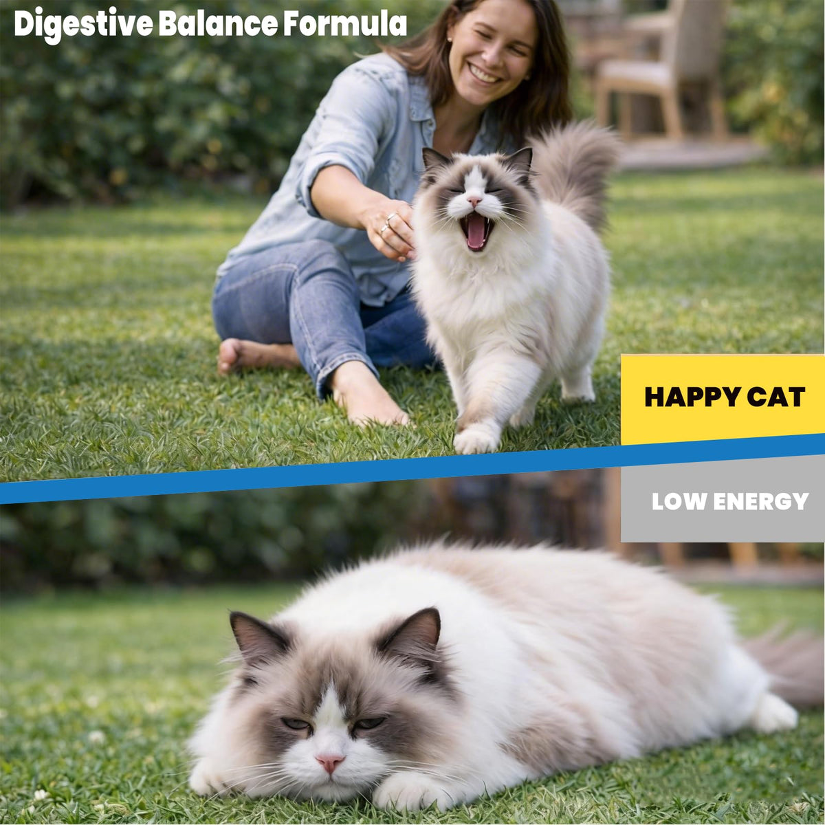 Cat Dewormer Tablets L40245