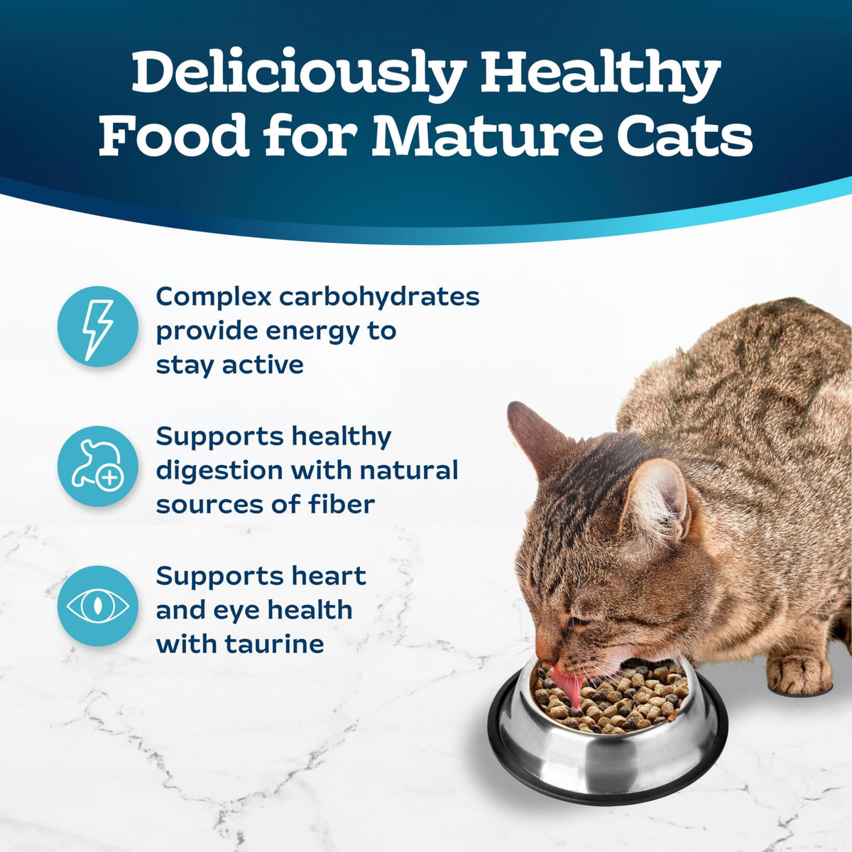 Chicken & Brown Rice Senior Dry Cat Food, 3 lb R849740