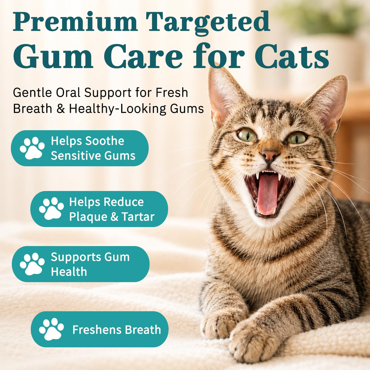 Cat Dental Care Oral Health Q91843