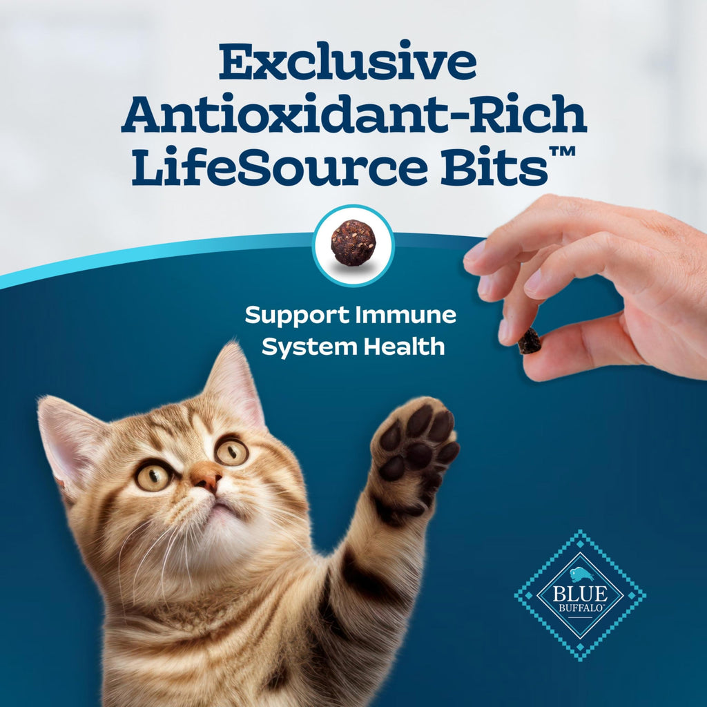 Chicken & Brown Rice Senior Dry Cat Food, 3 lb R849740