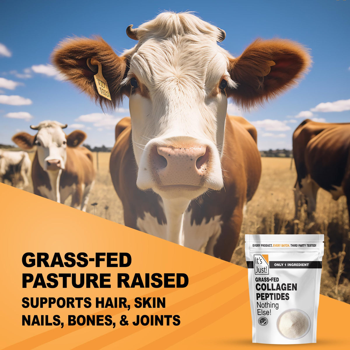 Collagen Peptide Grass-Fed Protein Powder Unflavored 20oz E188875