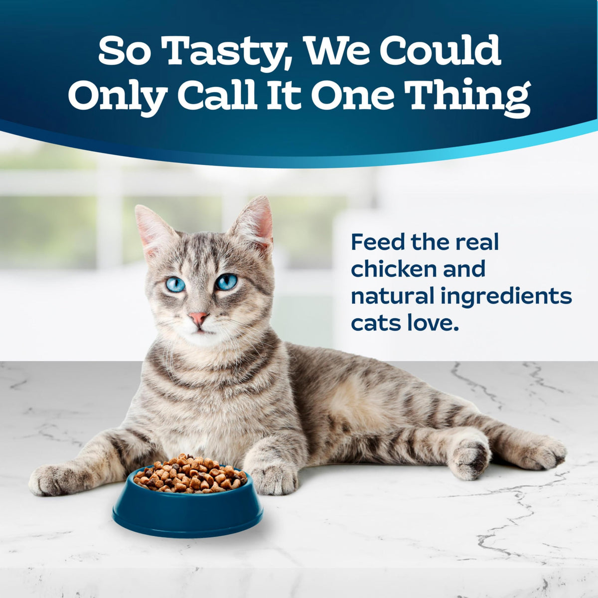 Chicken & Brown Rice Senior Dry Cat Food, 3 lb R849740