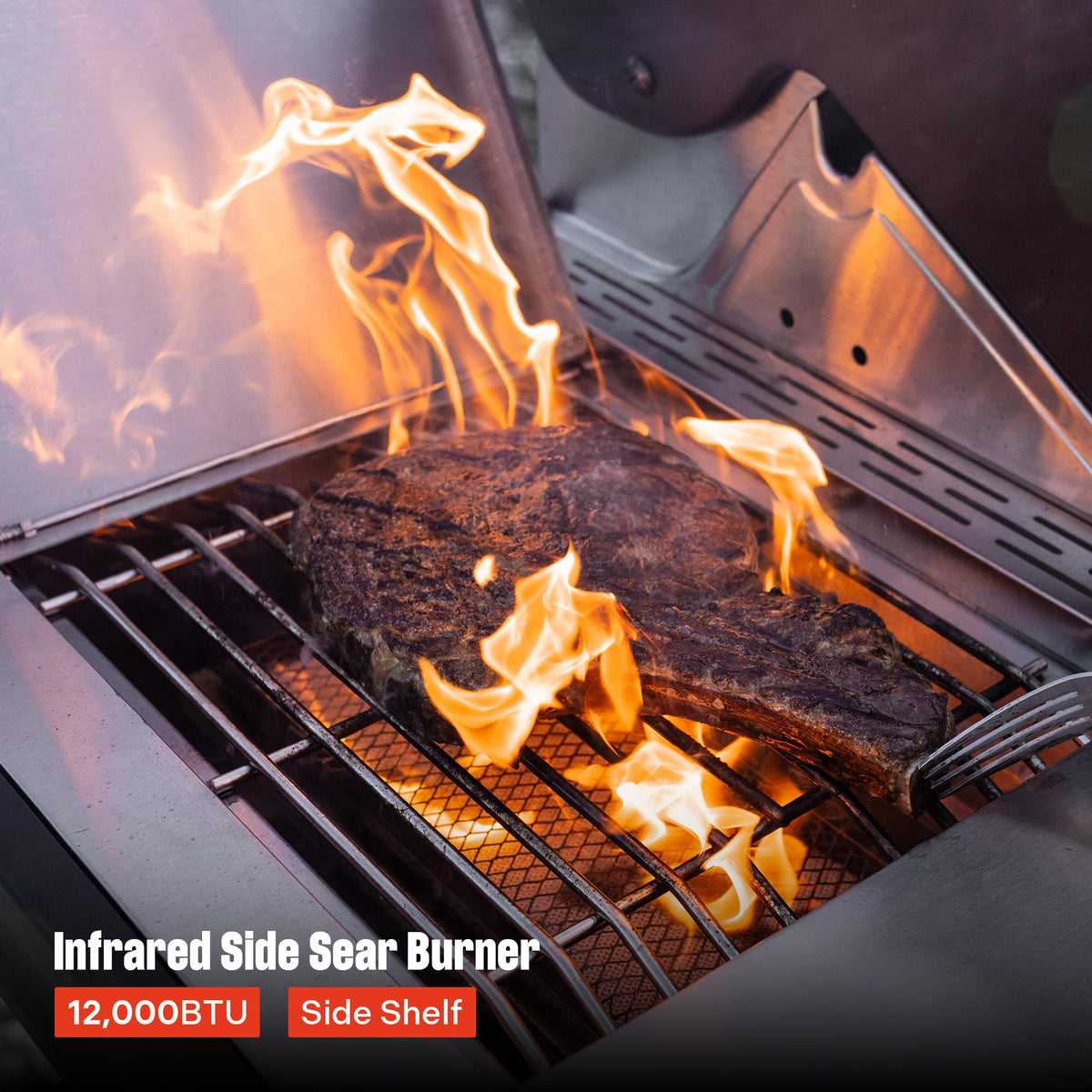 4+2 Burner Propane Gas Grill Stainless Steel X6872