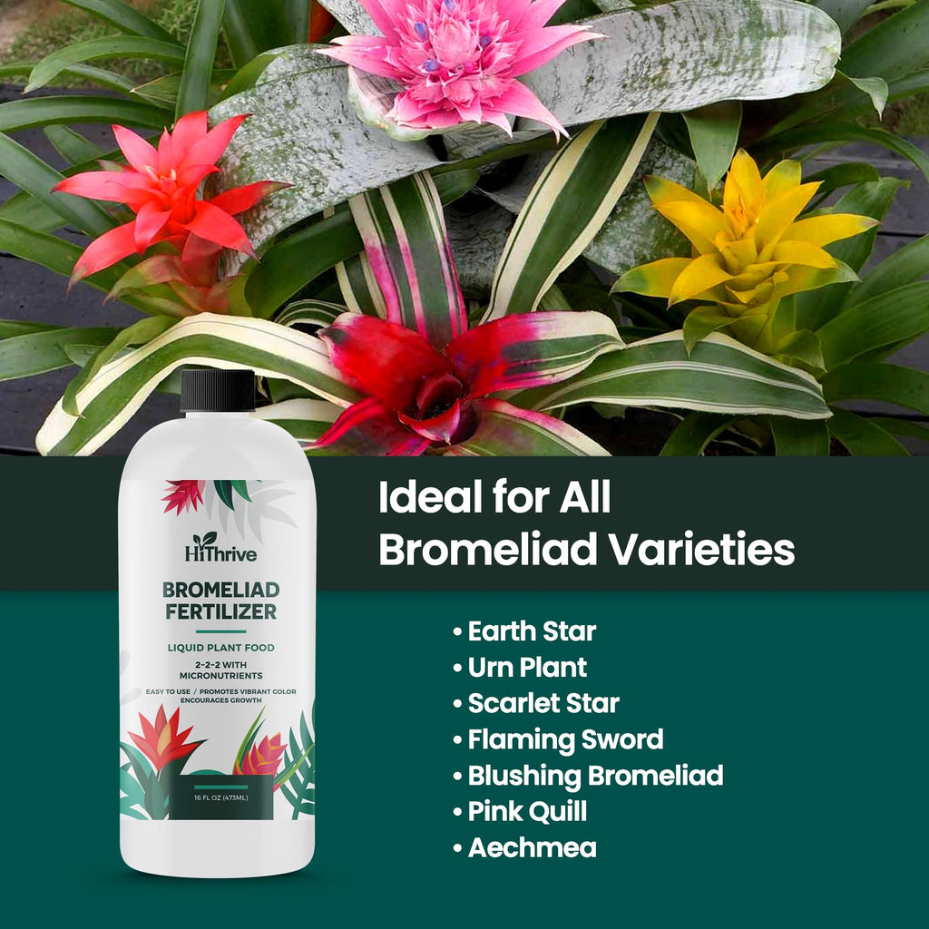 16oz Bromeliad Fertilizer R322898
