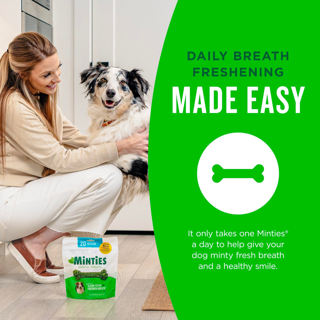 Mint Dental Chews for Dogs 36 Ct C370