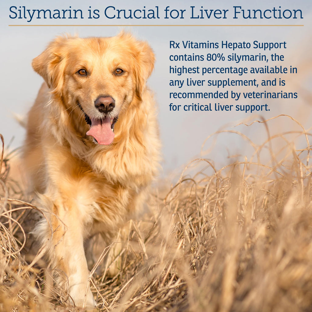 Liver Supplement 180ct D467896