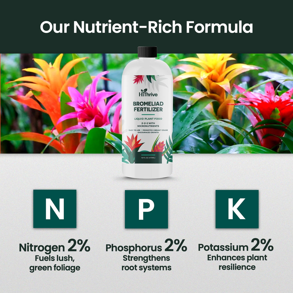 16oz Bromeliad Fertilizer R322898