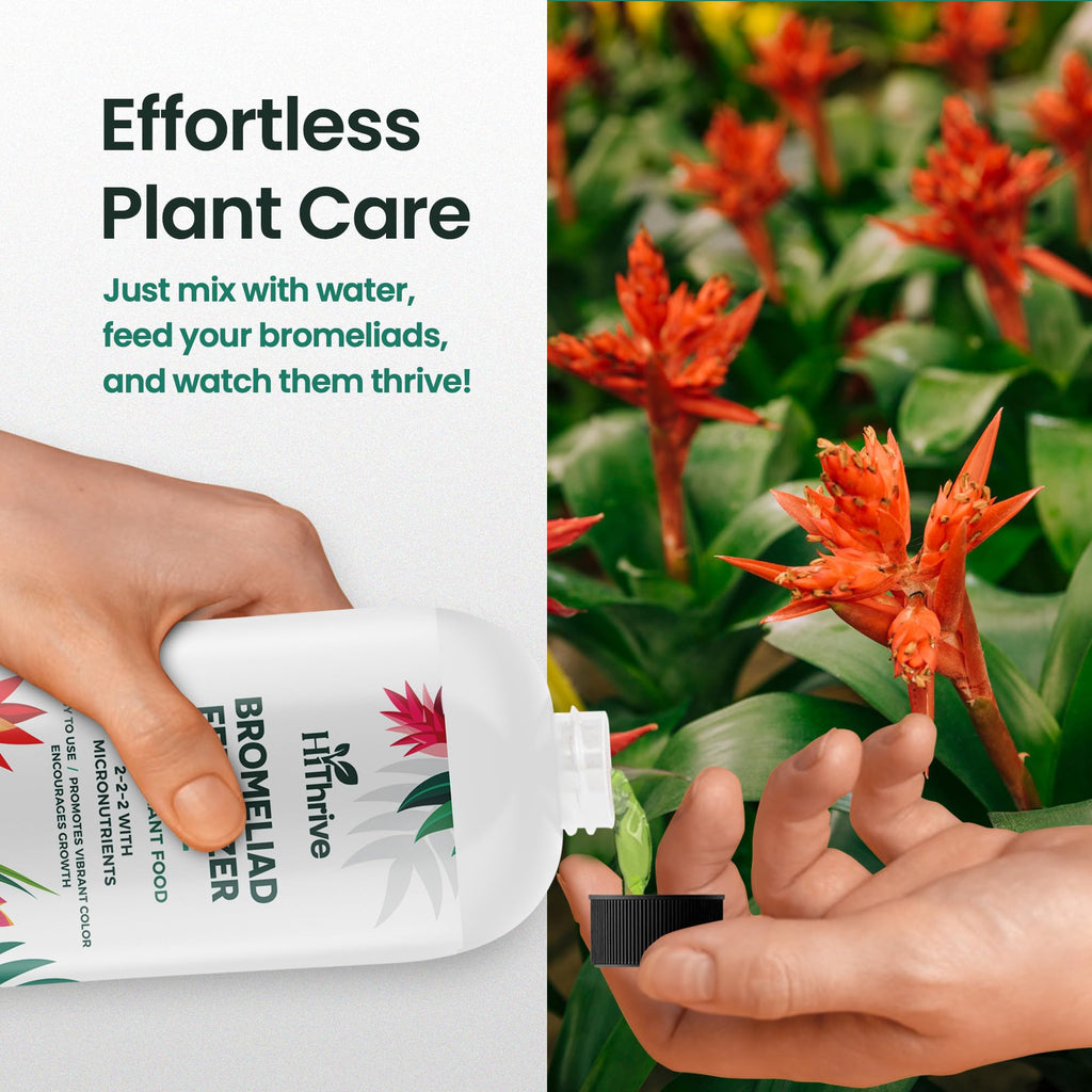 16oz Bromeliad Fertilizer R322898