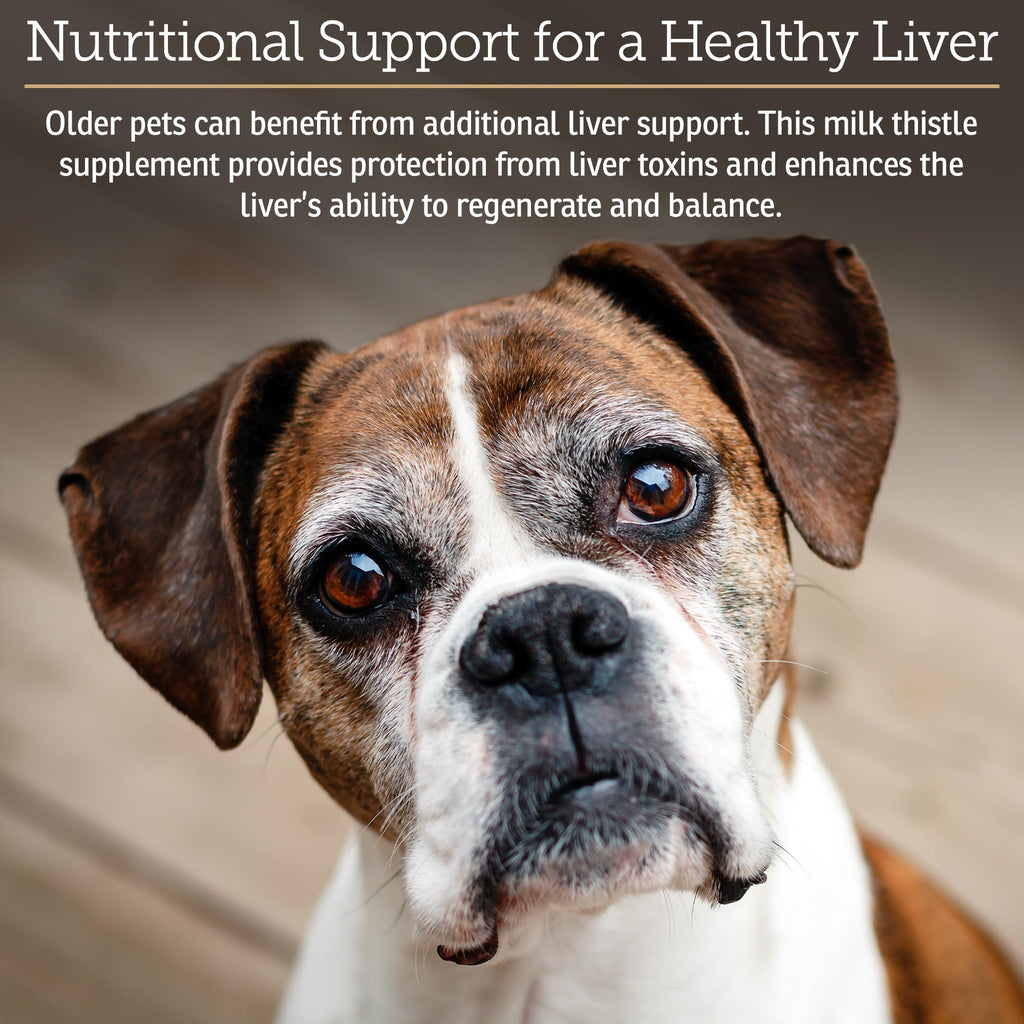 Liver Supplement 180ct D467896
