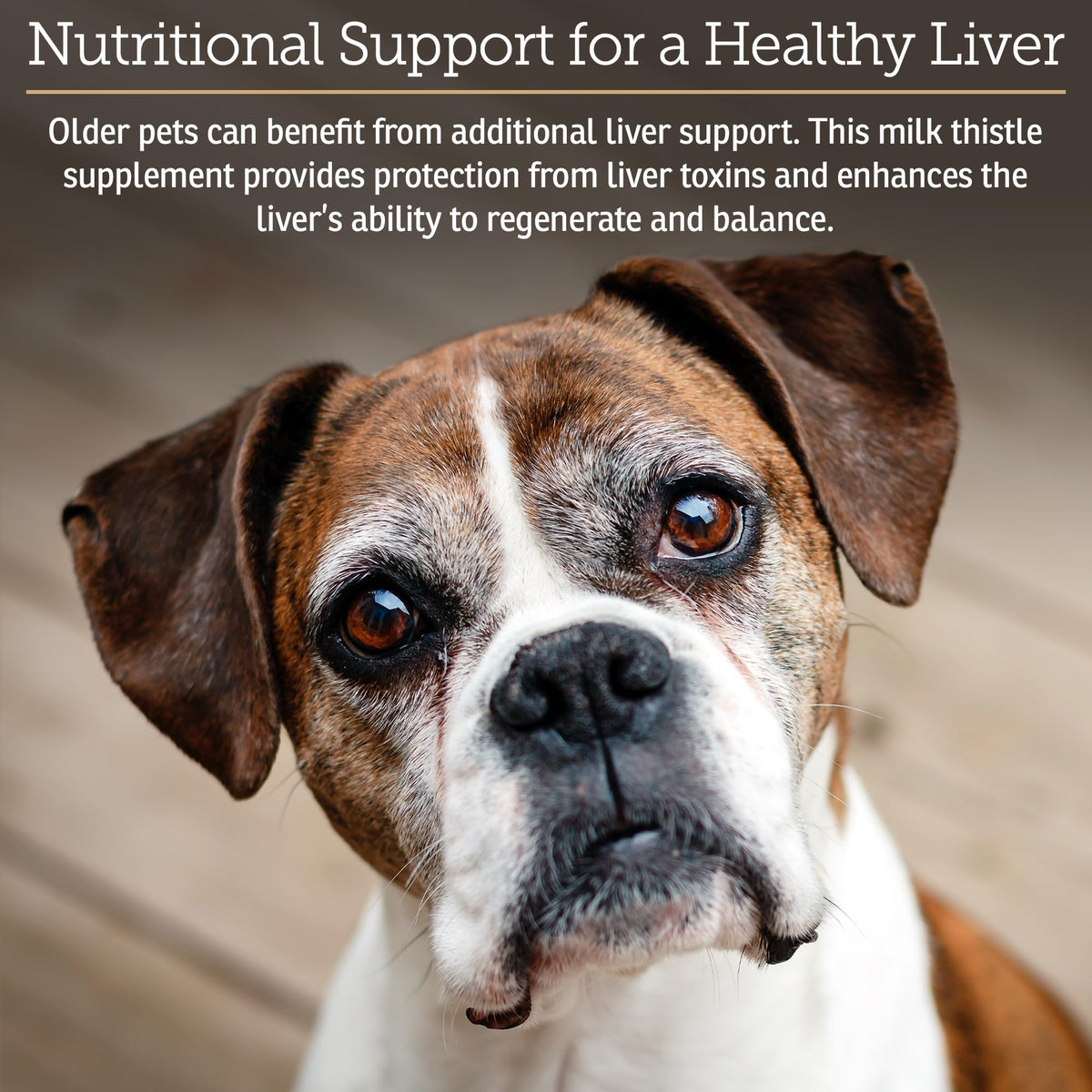 Liver Supplement 180ct D467896