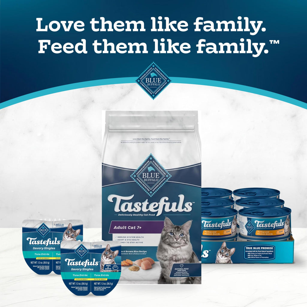 Chicken & Brown Rice Senior Dry Cat Food, 3 lb R849740