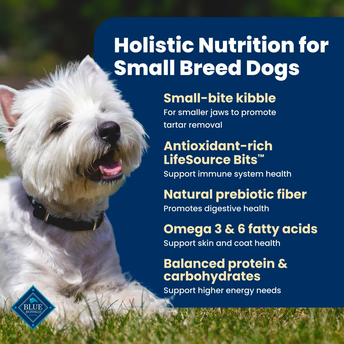 Chicken Small Breed Dry Dog Food, 5 lb U426885