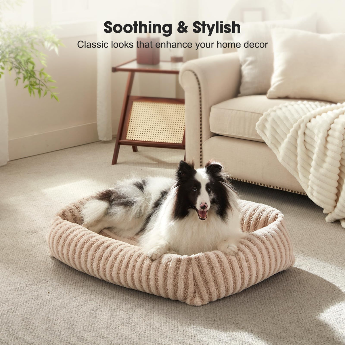Medium Washable Dog Bed with Removable Cover V787111