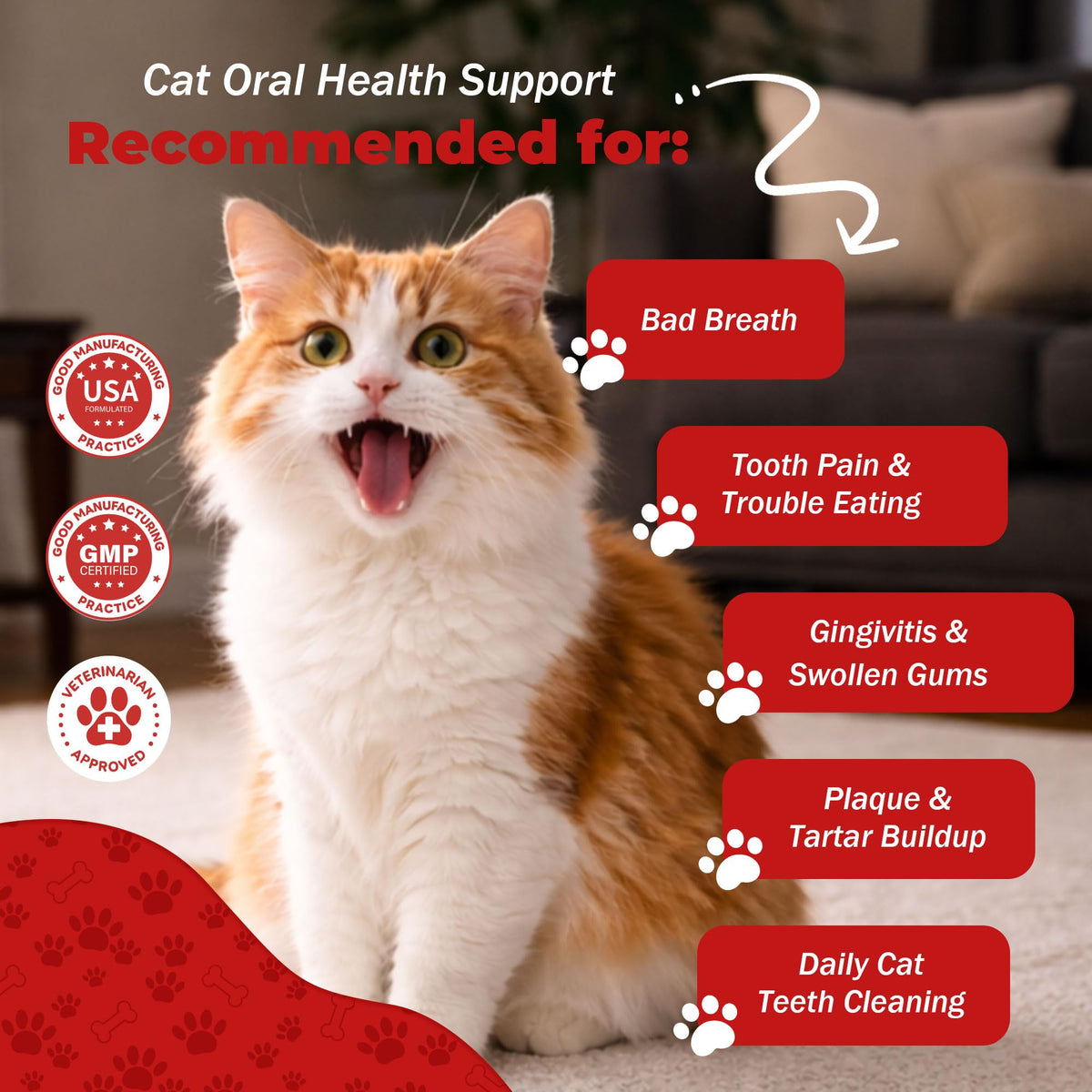 Cat Dental Care Tablets M6202